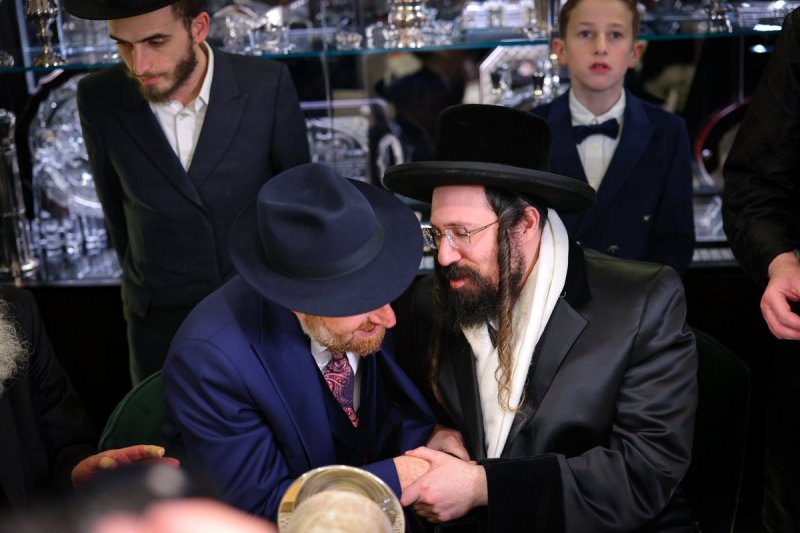 אביב קופל