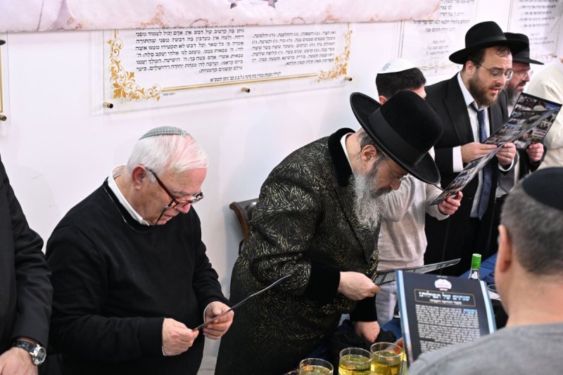 ליפא מוזר