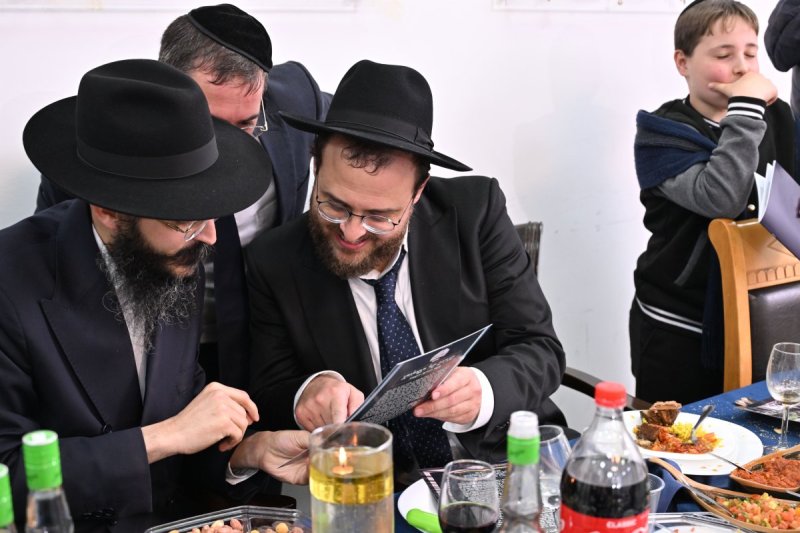 ליפא מוזר