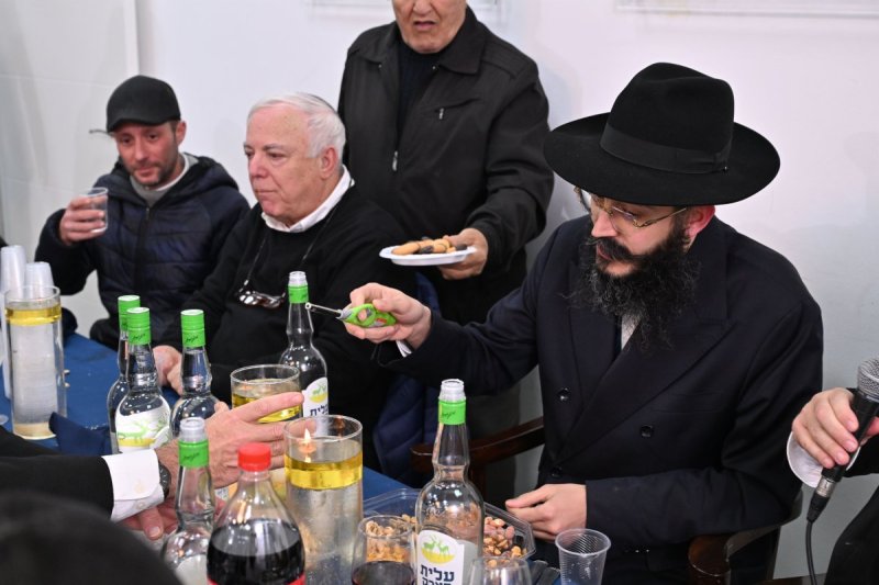 ליפא מוזר