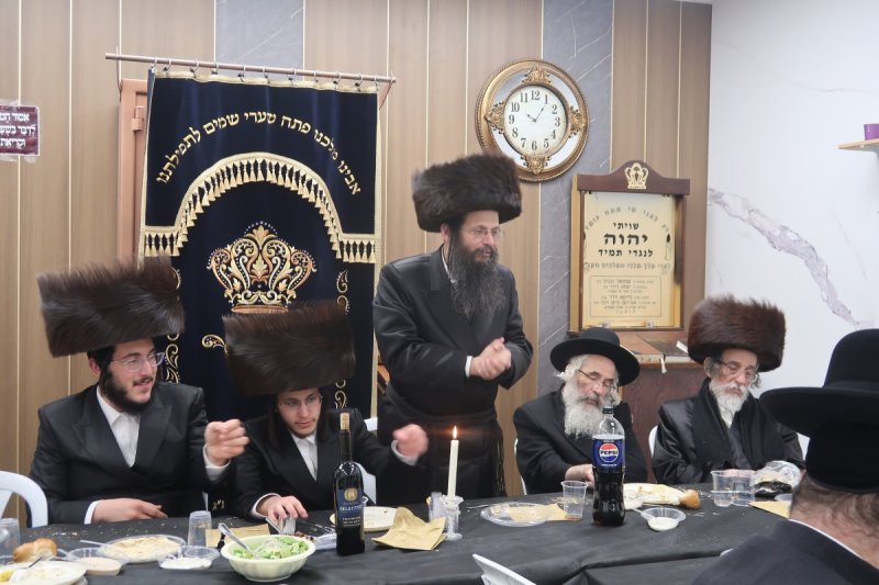 י. פריד