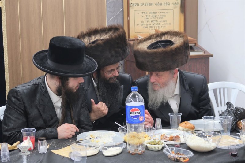 י. פריד