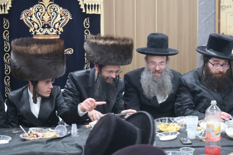 י. פריד