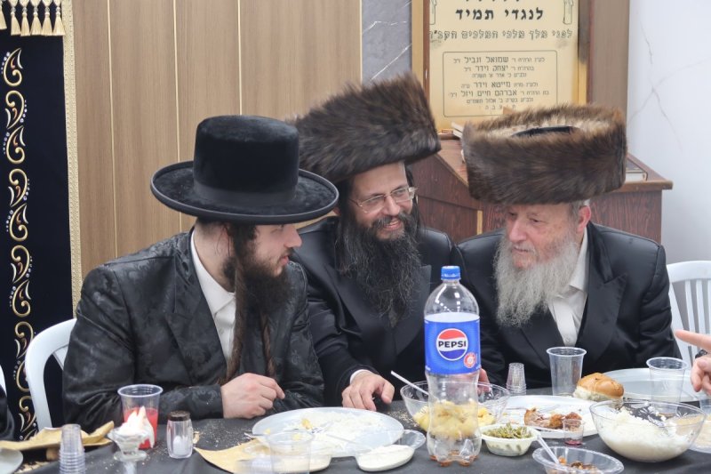 י. פריד