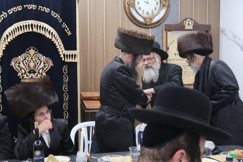 י. פריד