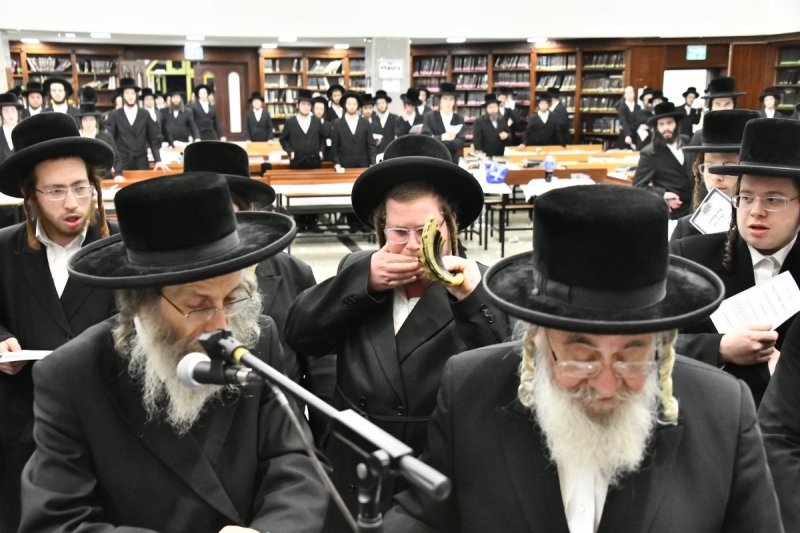 שוקי לרר
