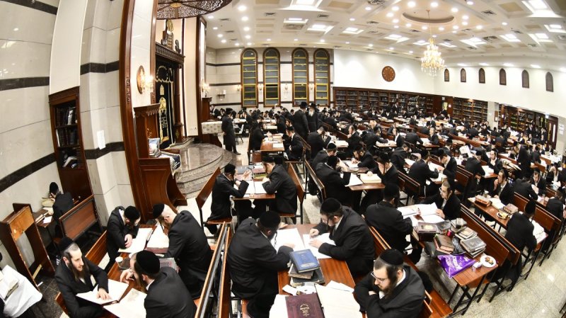 שוקי לרר