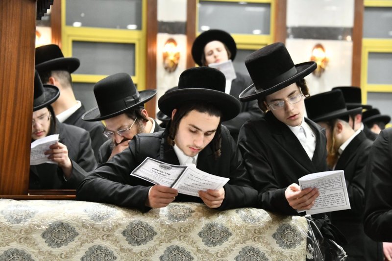 שוקי לרר