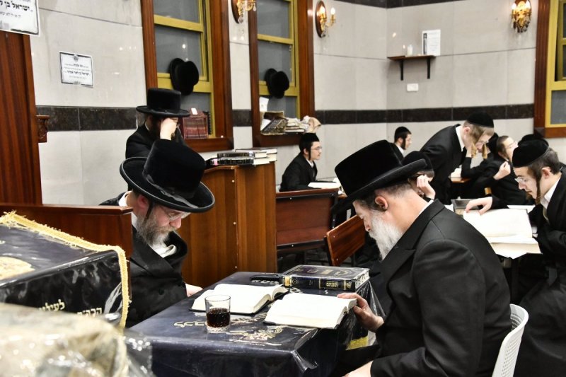שוקי לרר
