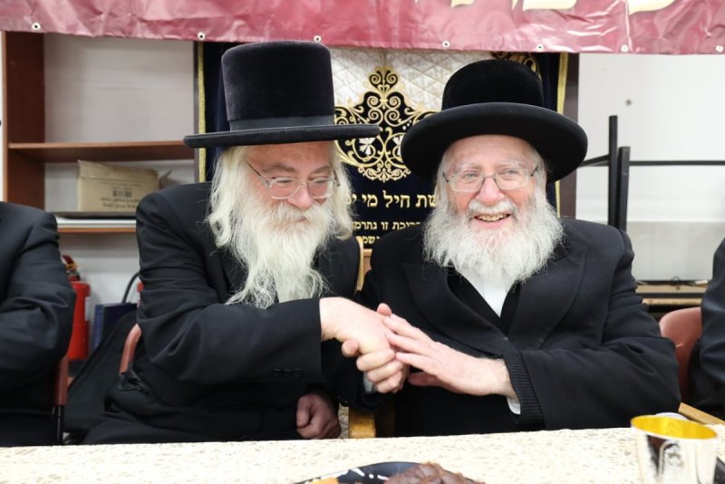 קובי הר צבי