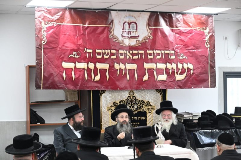קובי הר צבי