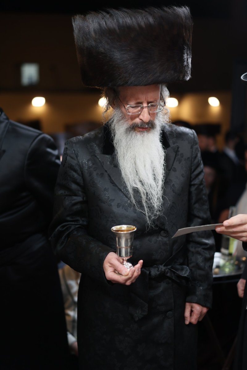 אבי מילר