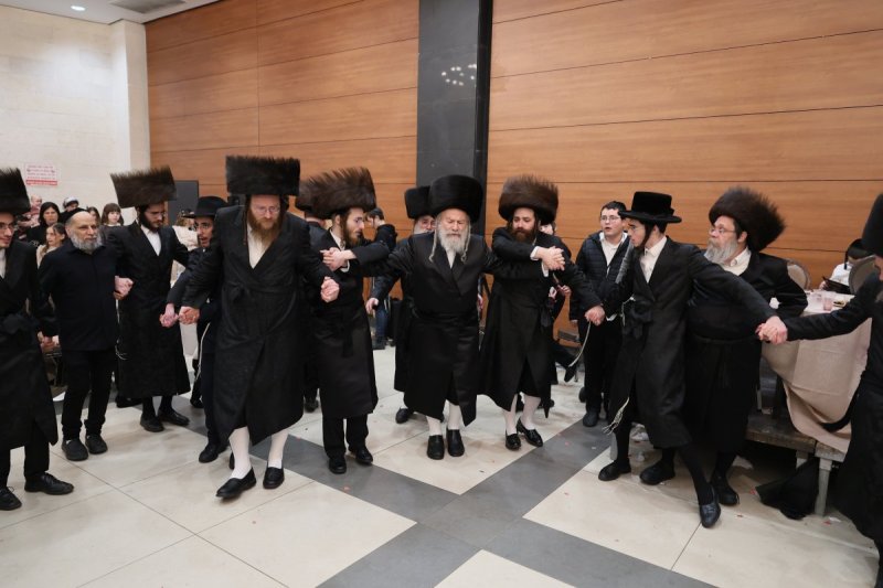 אבי מילר