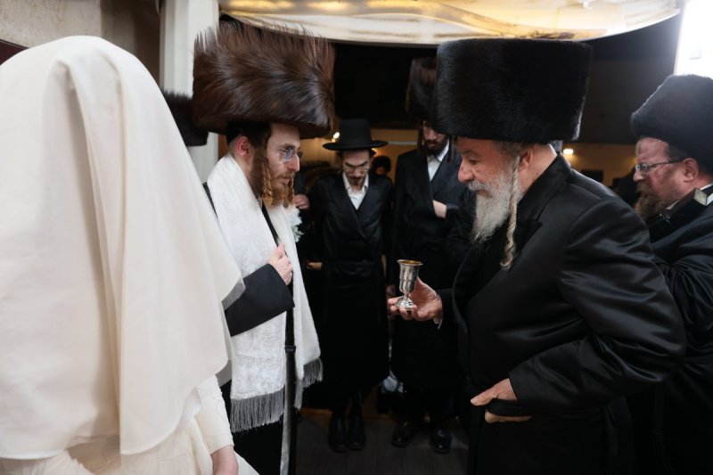 אבי מילר