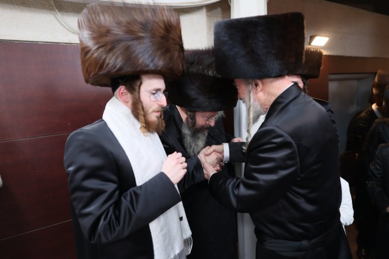אבי מילר