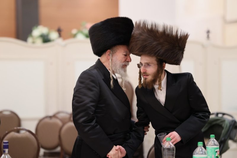 אבי מילר