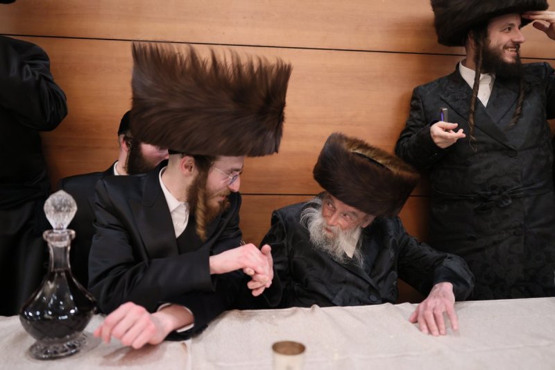 אבי מילר