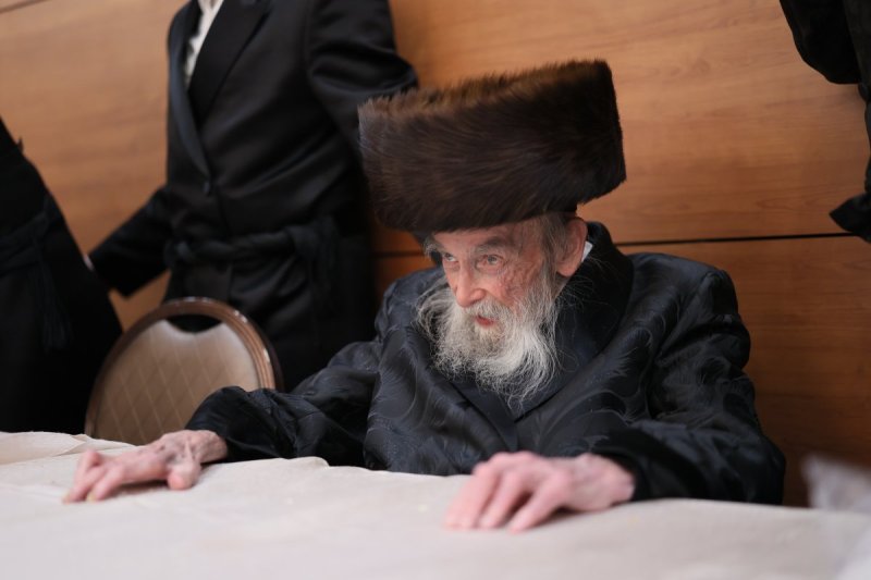 אבי מילר