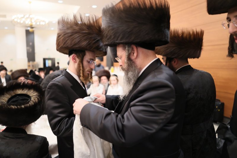 אבי מילר