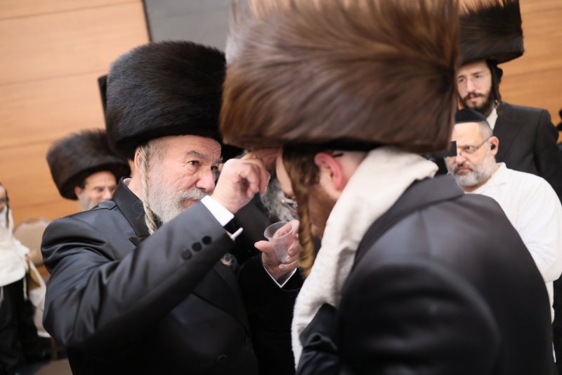 אבי מילר