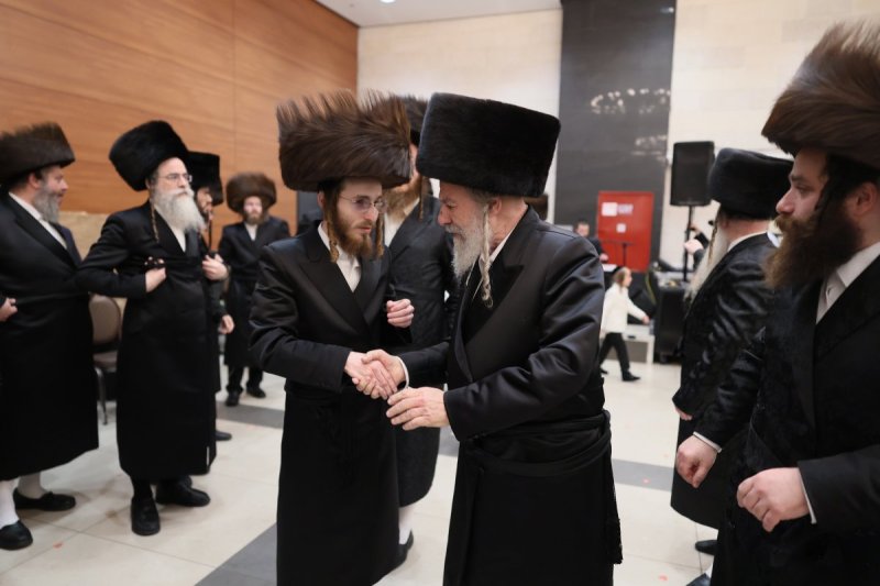 אבי מילר