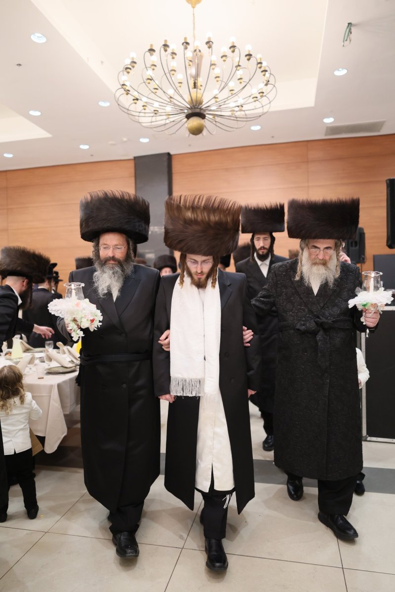 אבי מילר