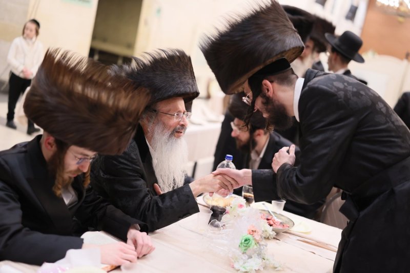 אבי מילר