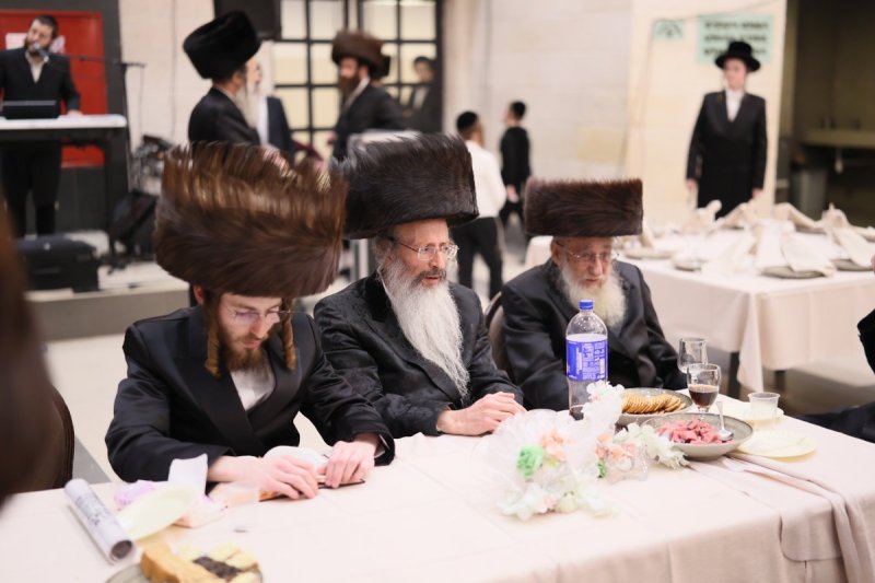 אבי מילר