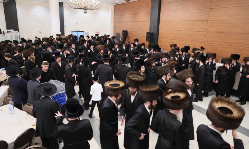 חתונת אשלג - סטרטין - זוועהיל: אברכי הכוללים הגיעו לרקוד
