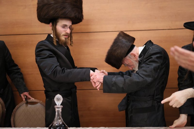 אבי מילר