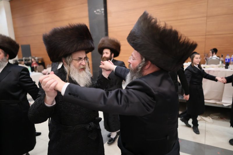 אבי מילר