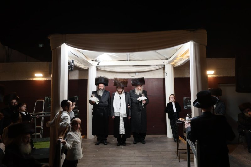אבי מילר