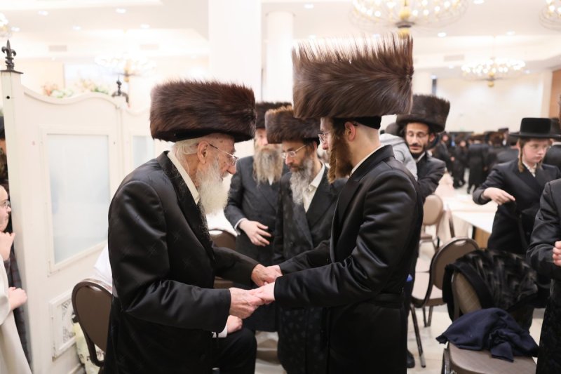 אבי מילר