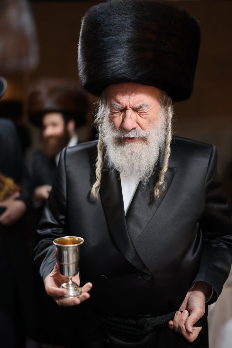אבי מילר