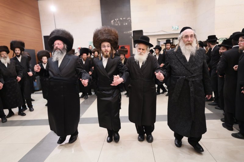 אבי מילר