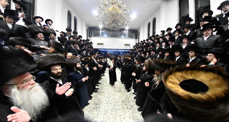 שוקי לרר
