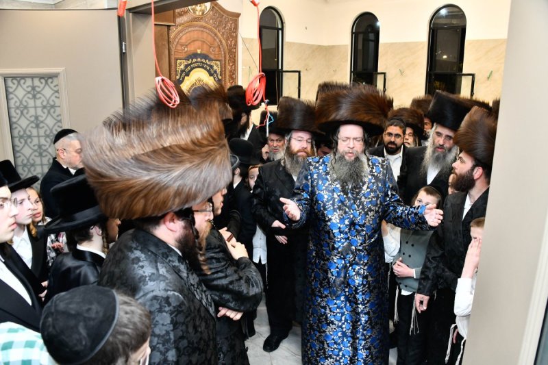 שוקי לרר