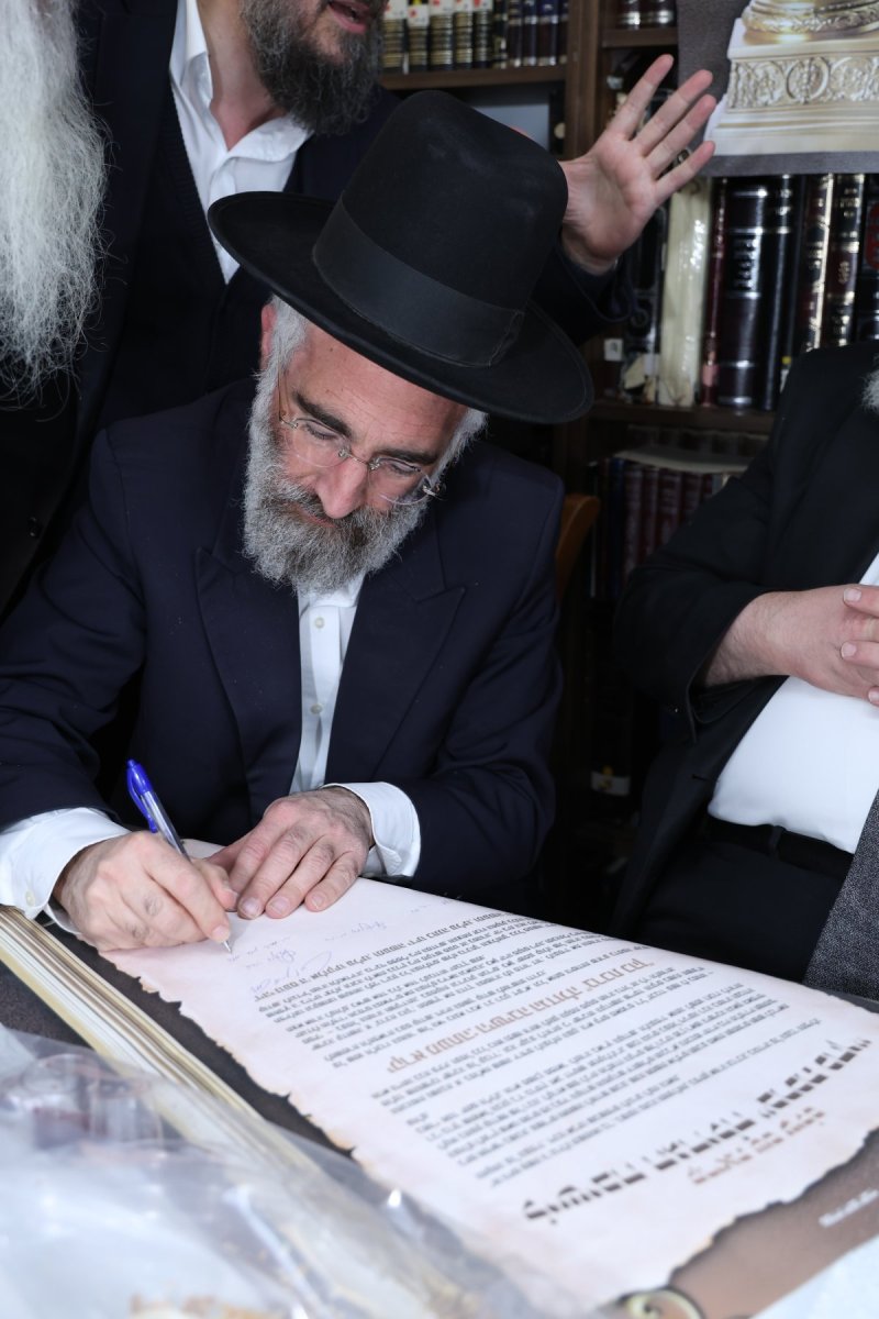 נתי פרל