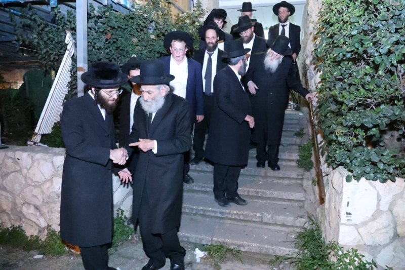 נתי פרל