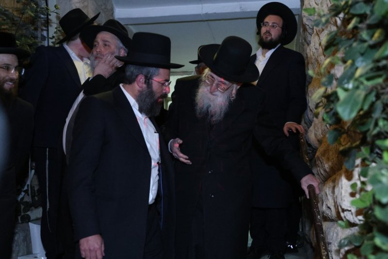 נתי פרל