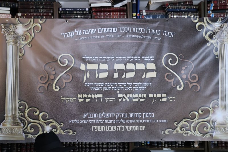 נתי פרל