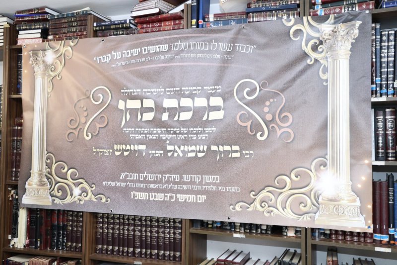 נתי פרל
