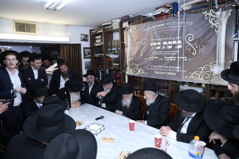 נתי פרל