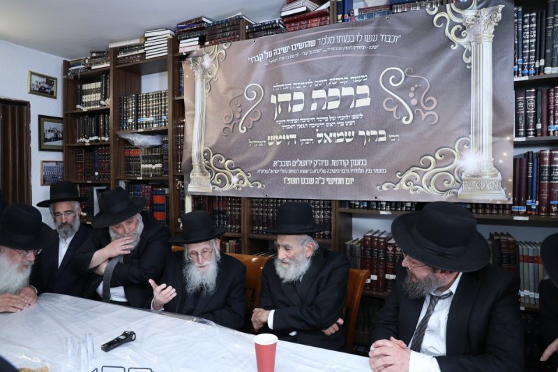נתי פרל
