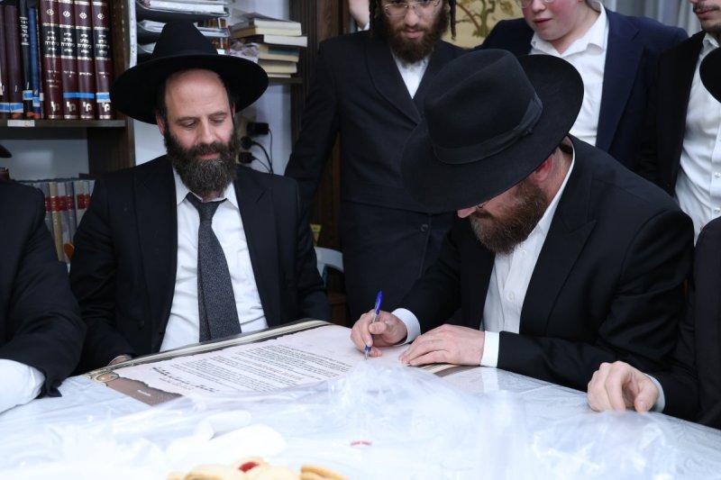 נתי פרל
