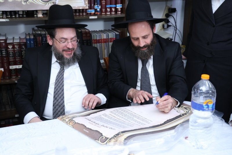 נתי פרל