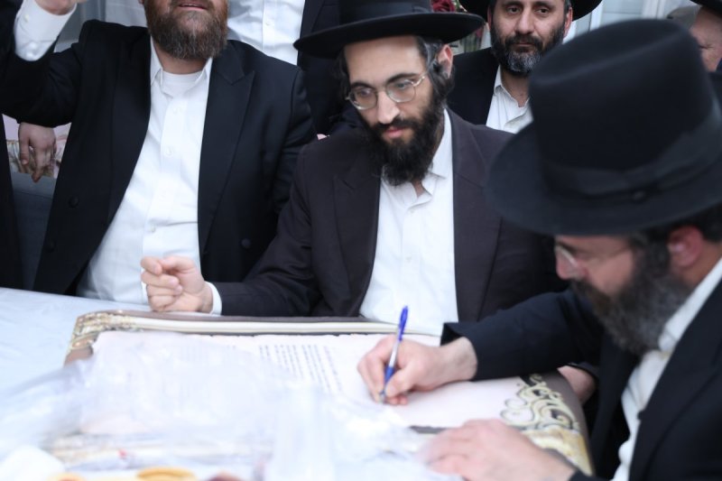 נתי פרל