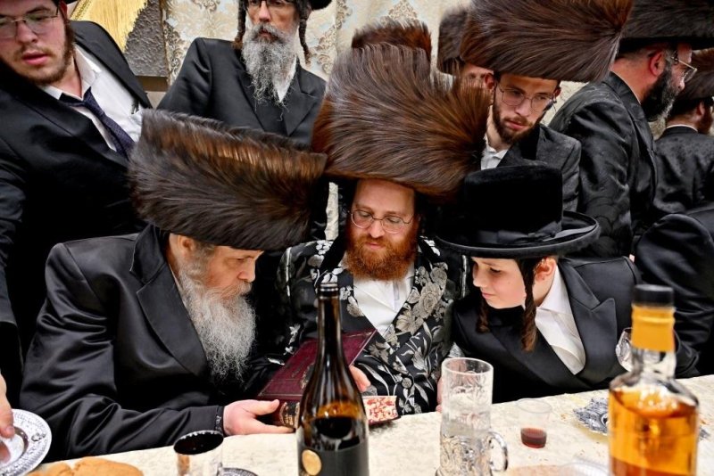 יהושע פרוכטר