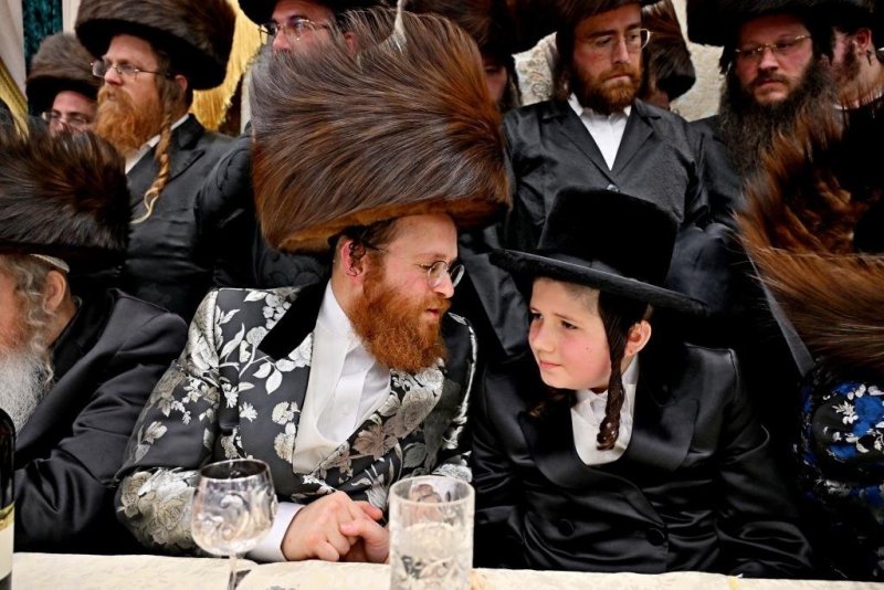 יהושע פרוכטר