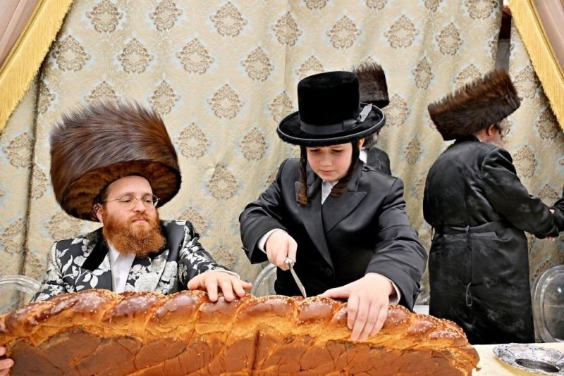 יהושע פרוכטר